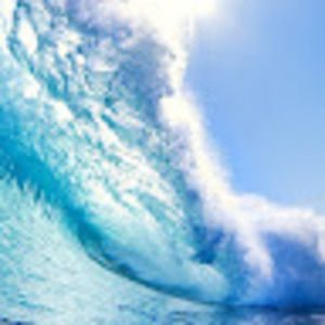 Meet your Posher, Cony